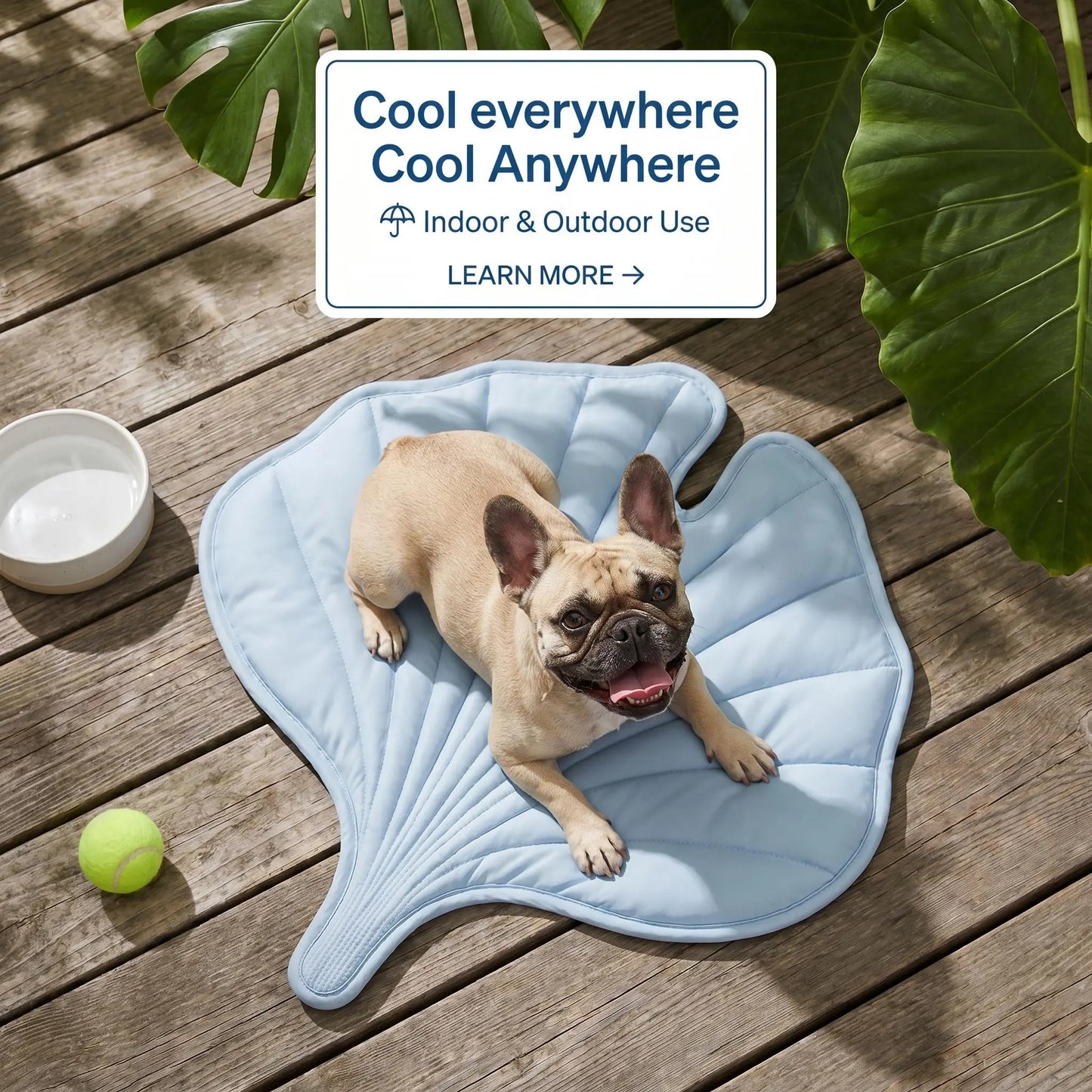 Nuzzlebox Eco-Friendly Gel-Free Cooling Pet Bed Mat - Durable, Portable, and Machine Washable Summer Solution for Cats and Small Dogs (34" x 36") Ideal for Outdoor Use