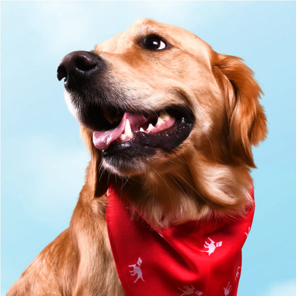 Petlab Co Dog Bandana – Stylish Pet Scarf | Soft, Comfortable & Washable Dog Accessory