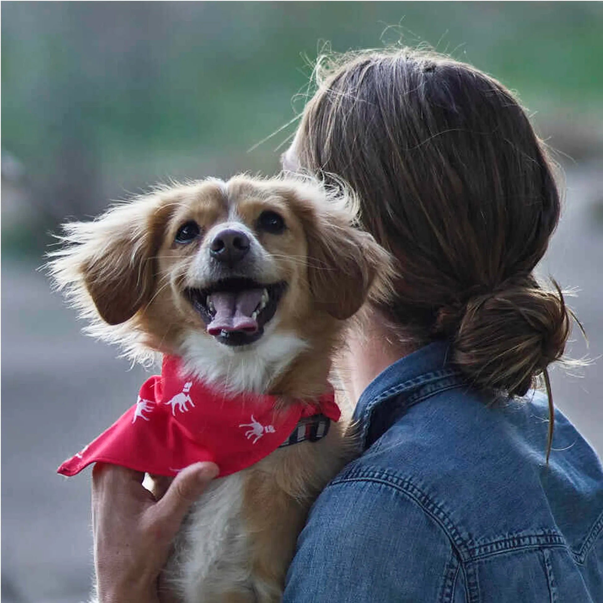 Petlab Co Dog Bandana – Stylish Pet Scarf | Soft, Comfortable & Washable Dog Accessory