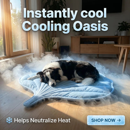 Nuzzlebox Eco-Friendly Gel-Free Cooling Pet Bed Mat - Durable, Portable, and Machine Washable Summer Solution for Cats and Small Dogs (34" x 36") Ideal for Outdoor Use