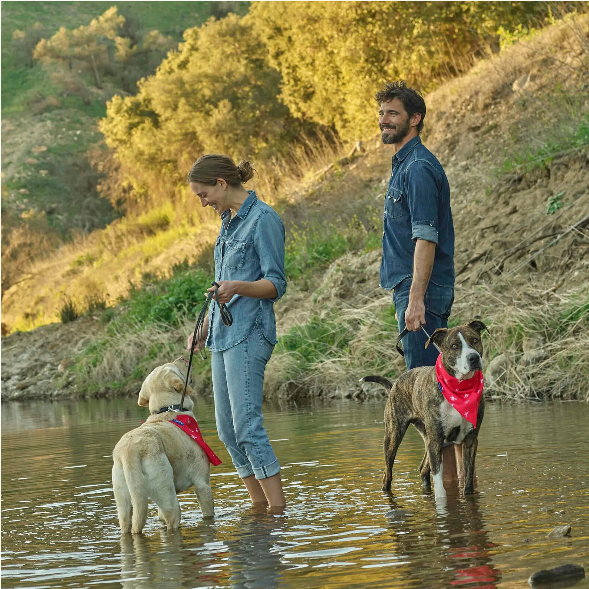 Petlab Co Dog Bandana – Stylish Pet Scarf | Soft, Comfortable & Washable Dog Accessory