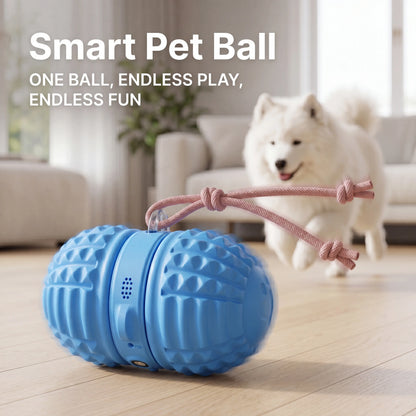 Interactive Automatic Rolling Dog Toy with Dual Motors, Voice Recording, and Rechargeable Features - Water Resistant Pet Toy for Indoor Play and Boredom Relief for Small to Medium Dogs