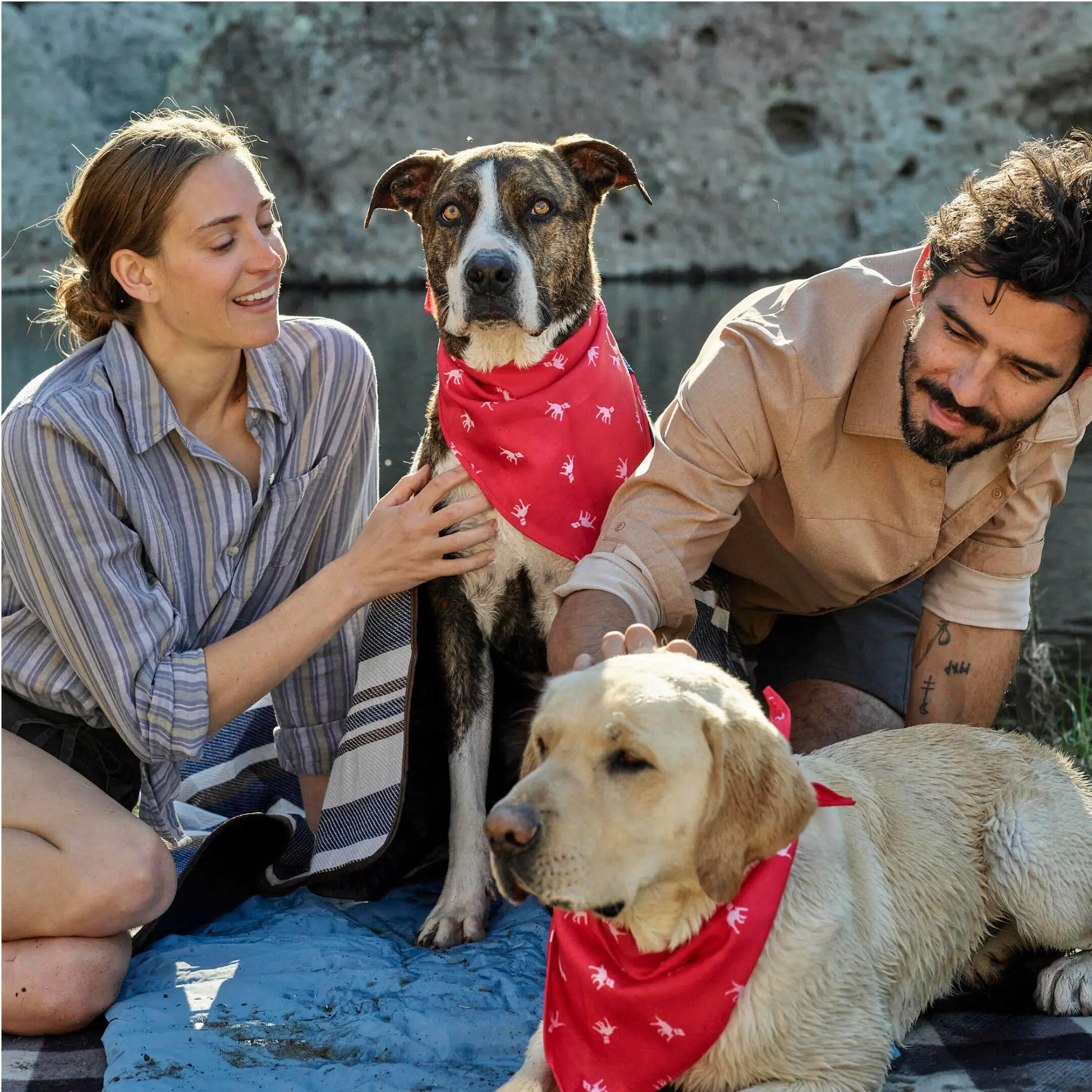 Petlab Co Dog Bandana – Stylish Pet Scarf | Soft, Comfortable & Washable Dog Accessory